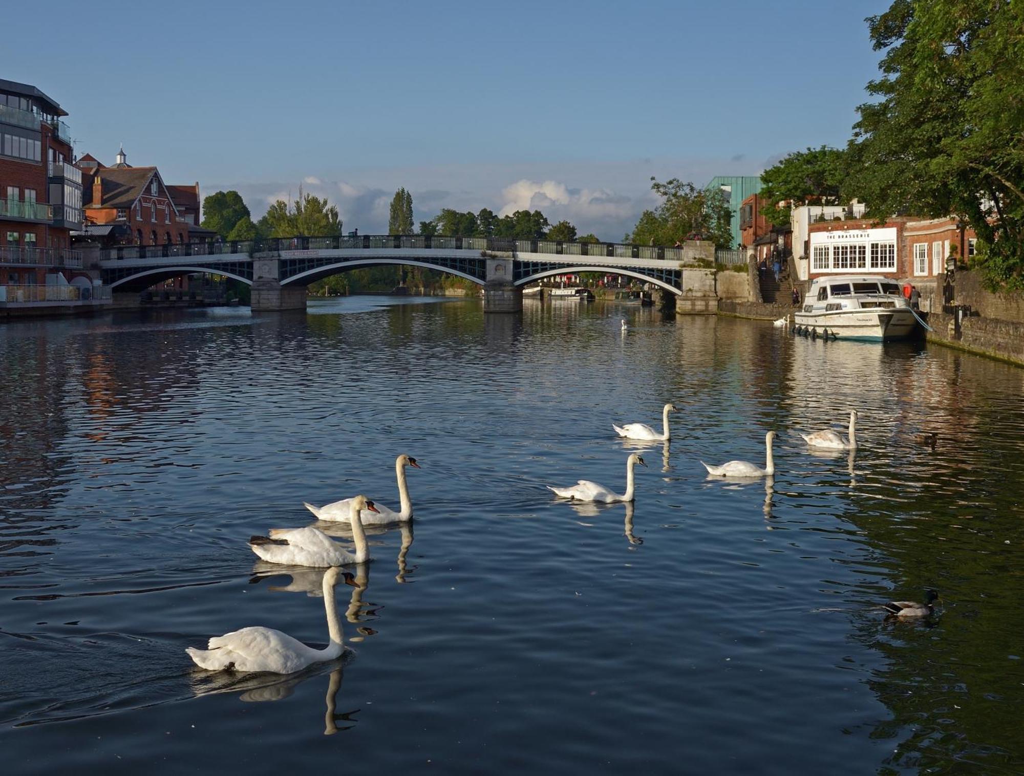 Top Floor En-Suite Double Bedrooms With Great View Of Windsor Castle & Free Parking Exterior photo